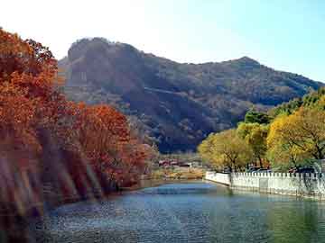 澳门二四六天天免费好材料，神采飞扬中国郎